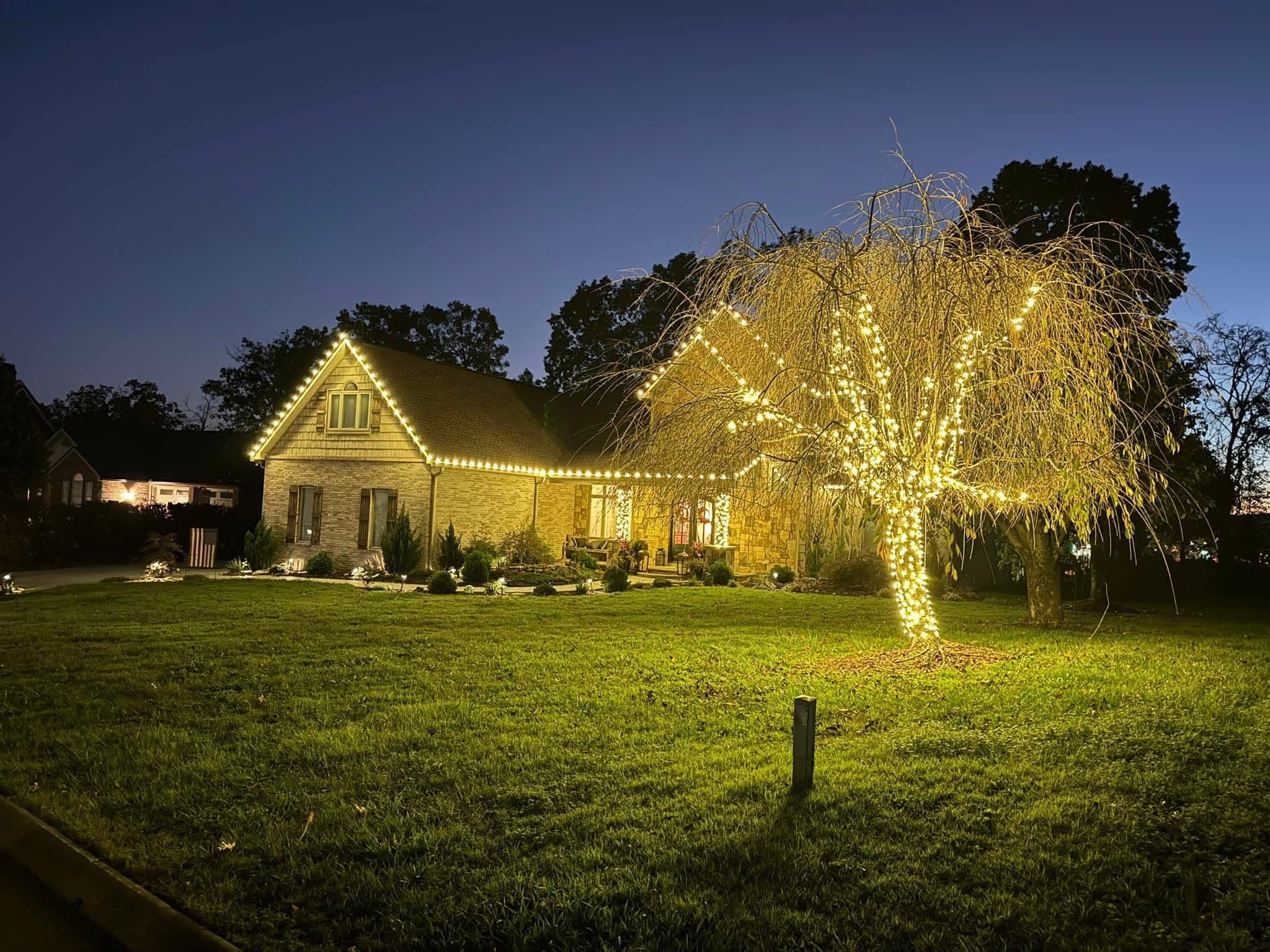 Project Custom Tree Lighting That Makes Your Property Stand Out After Dark image