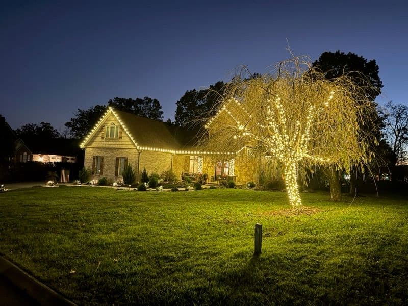 Gallery photos for Let Your Trees and Homes Shine Bright This Holiday Season: Image #3