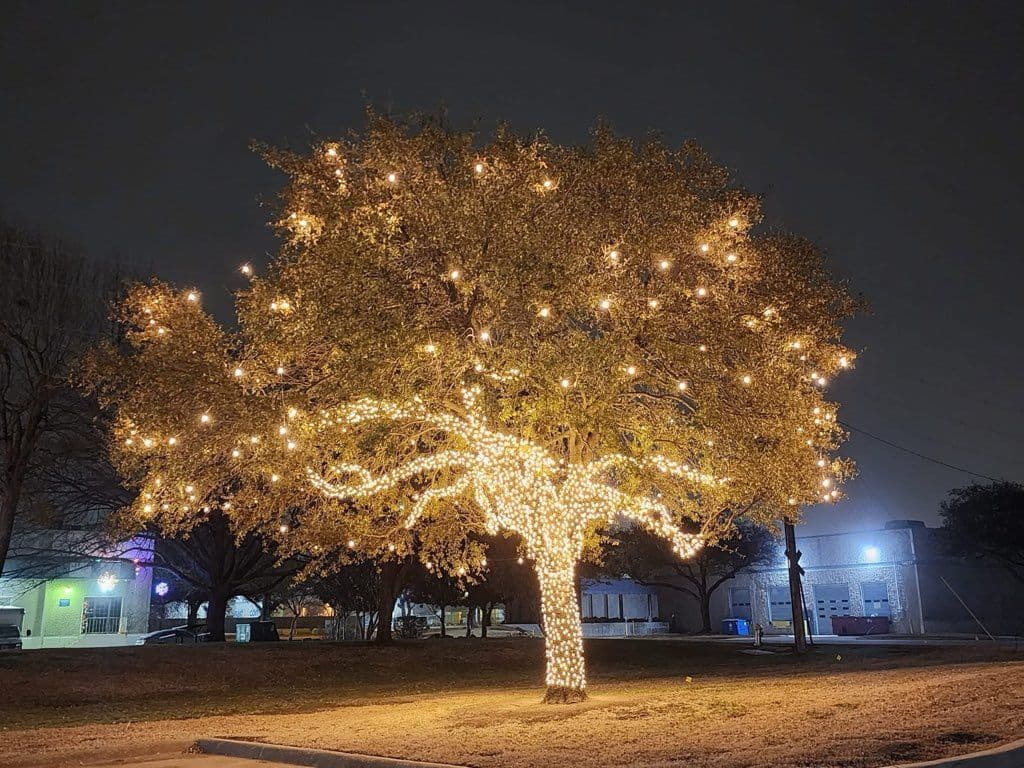 Project Lighting Up Your Trees with Sasquatch Lighting Co image