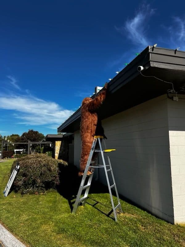 Sasquatch Takes on Outdoor Lighting Install image