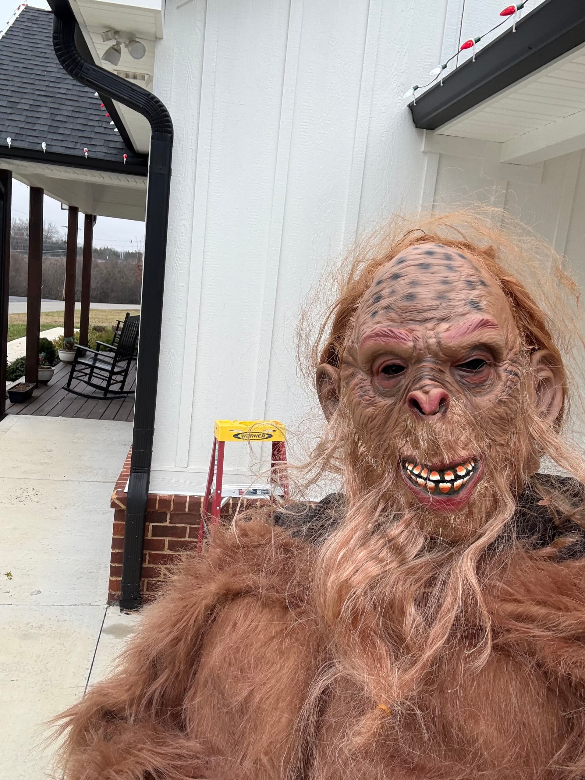 Legendary Lighting at Isaiah House with a Sasquatch Surprise image