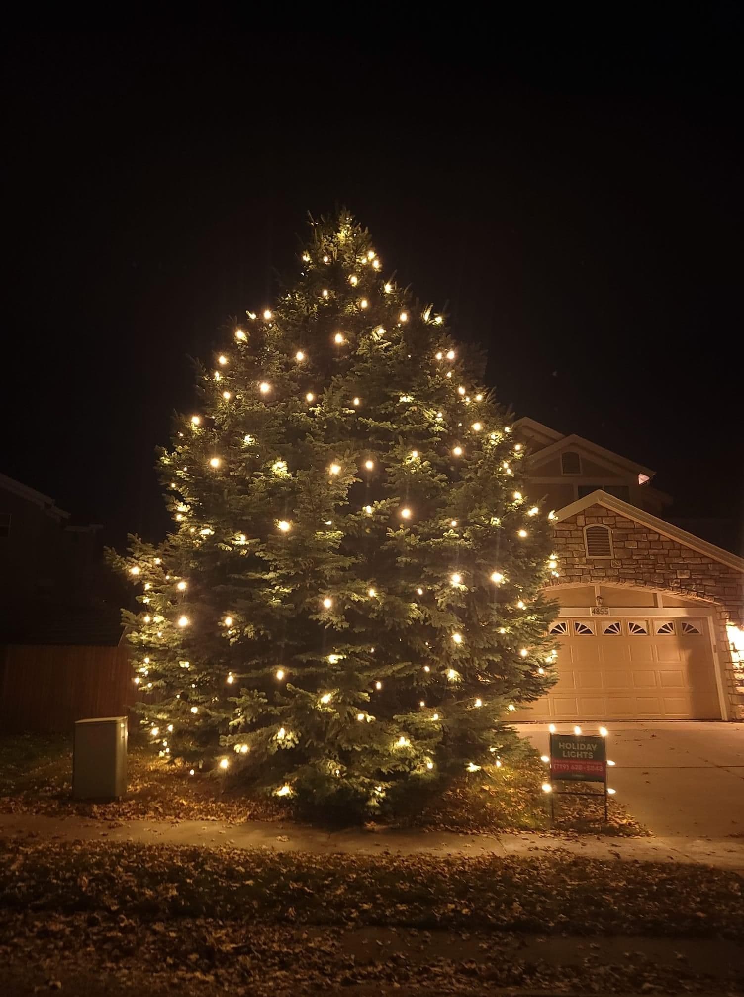 Gallery photos for Custom Tree Lighting That Makes Your Property Stand Out After Dark: Image #2