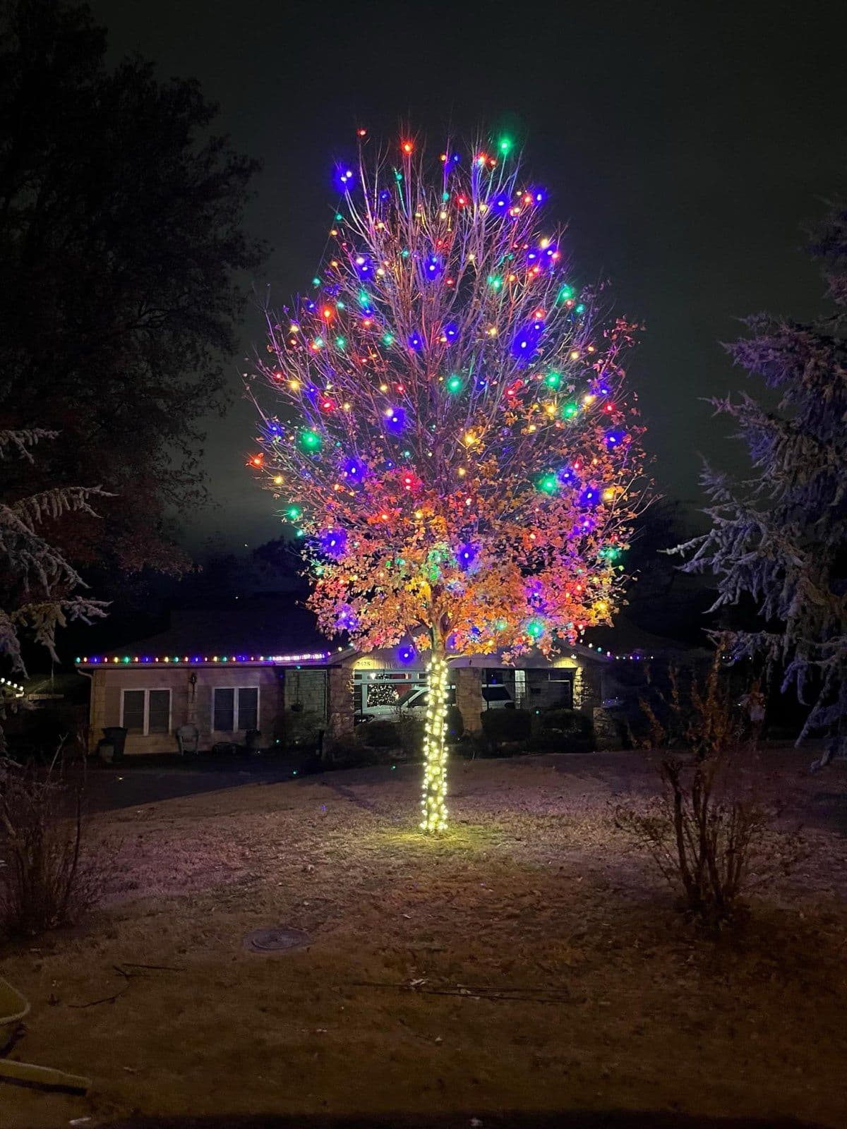 Illuminate Your Holidays with Vibrant Lighting Displays image