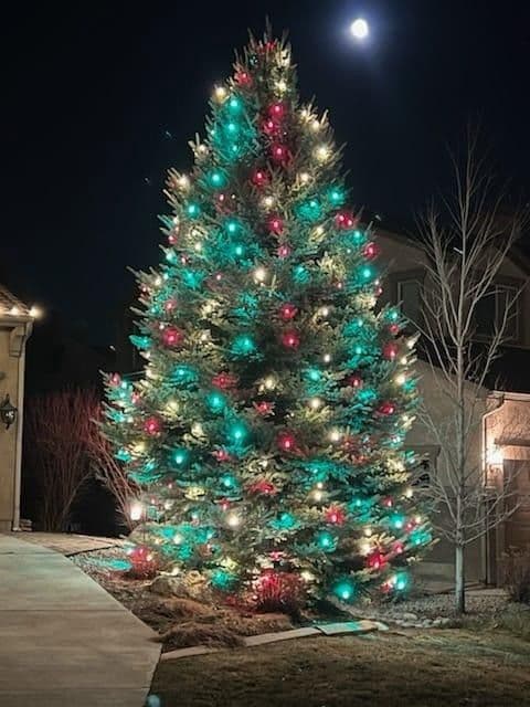 Gallery photos for Illuminate Your Holidays with Vibrant Lighting Displays: Image #2