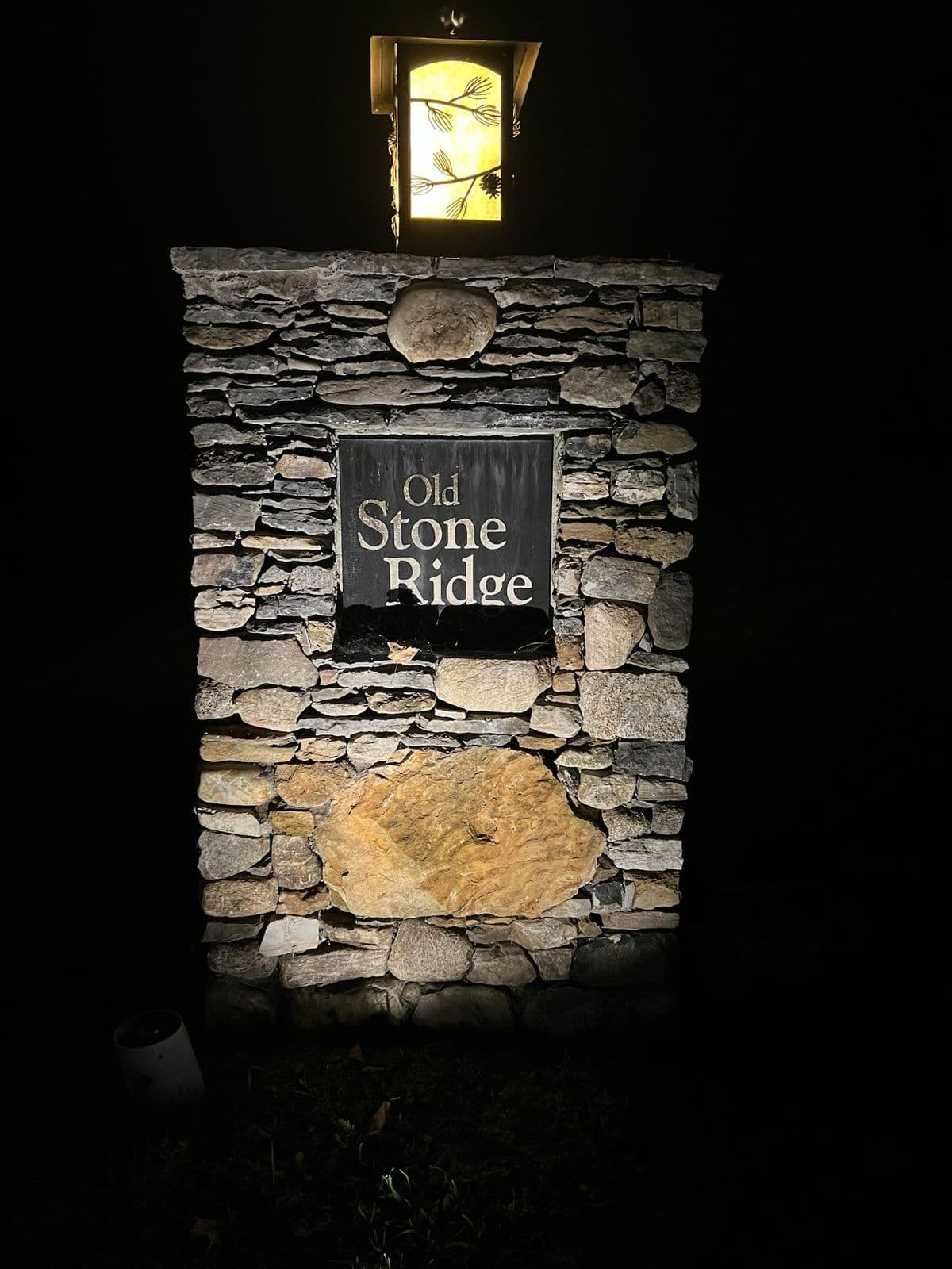 Elevate Your Nights with Stunning Landscape Lighting image